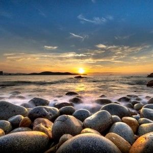 Meet your Posher, Walter